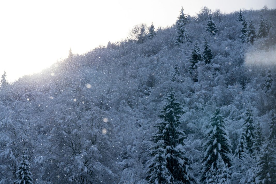 A snowboarder is going down a snowy hill